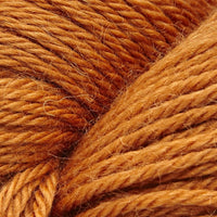 Pumpkin Pie (3062)