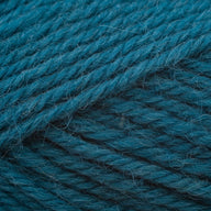 Kingfisher (771)