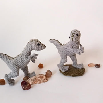 Velociraptor Dinosaurs