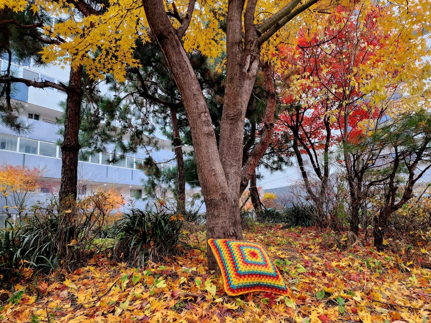 Rainy Days 26 Cushion