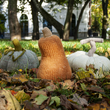 Three Halloween pumpkins