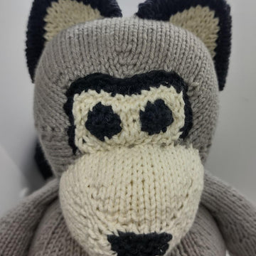 Rocky Raccoon