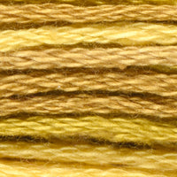 Golden Accents (VA12M16)