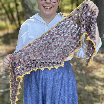 Blustery Day Shawlette