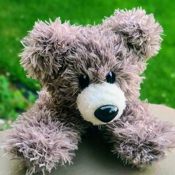 Hang in There Bear