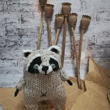 Toy Little Cute Raccoon 11 Inch With Mushroom House For Kids Room