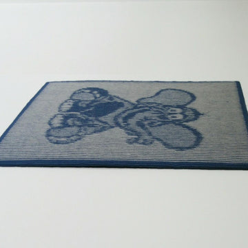 Elephant Illusion