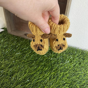 Capybara Baby Booties