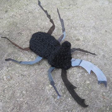 Stag Beetle