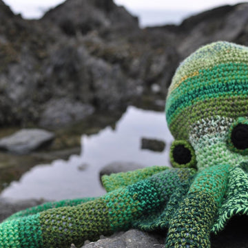 Giant Octopus