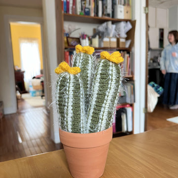 Column Cacti