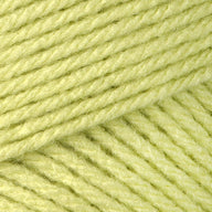Soft Fern (53221)