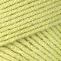 Soft Fern (53221)