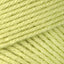 Soft Fern (53221)