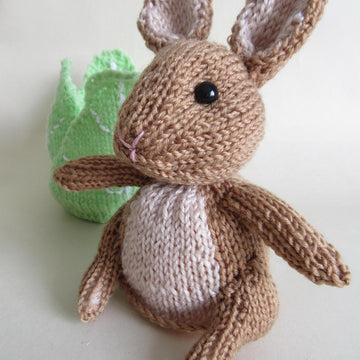 Rabbit in the Lettuce Chocolate Orange Cover Easter