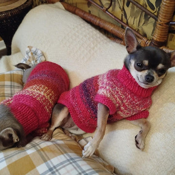 Pull Pepita