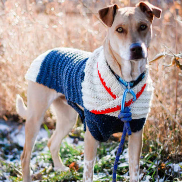 Ready to Roam Dog Sweater