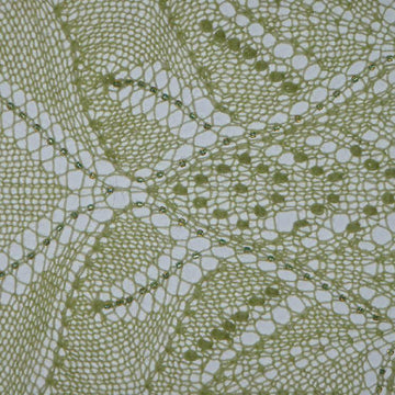 Back to the Garden Shawl