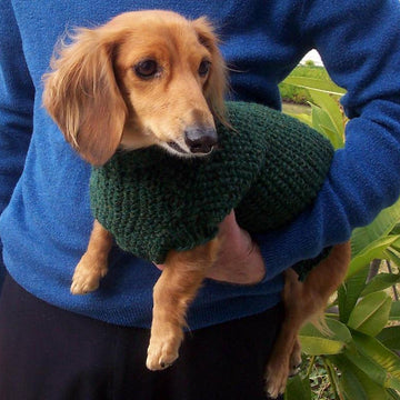 Lena's Miniature Dachshund Dog Sweater