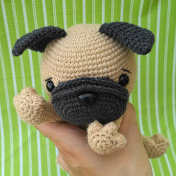 Pug