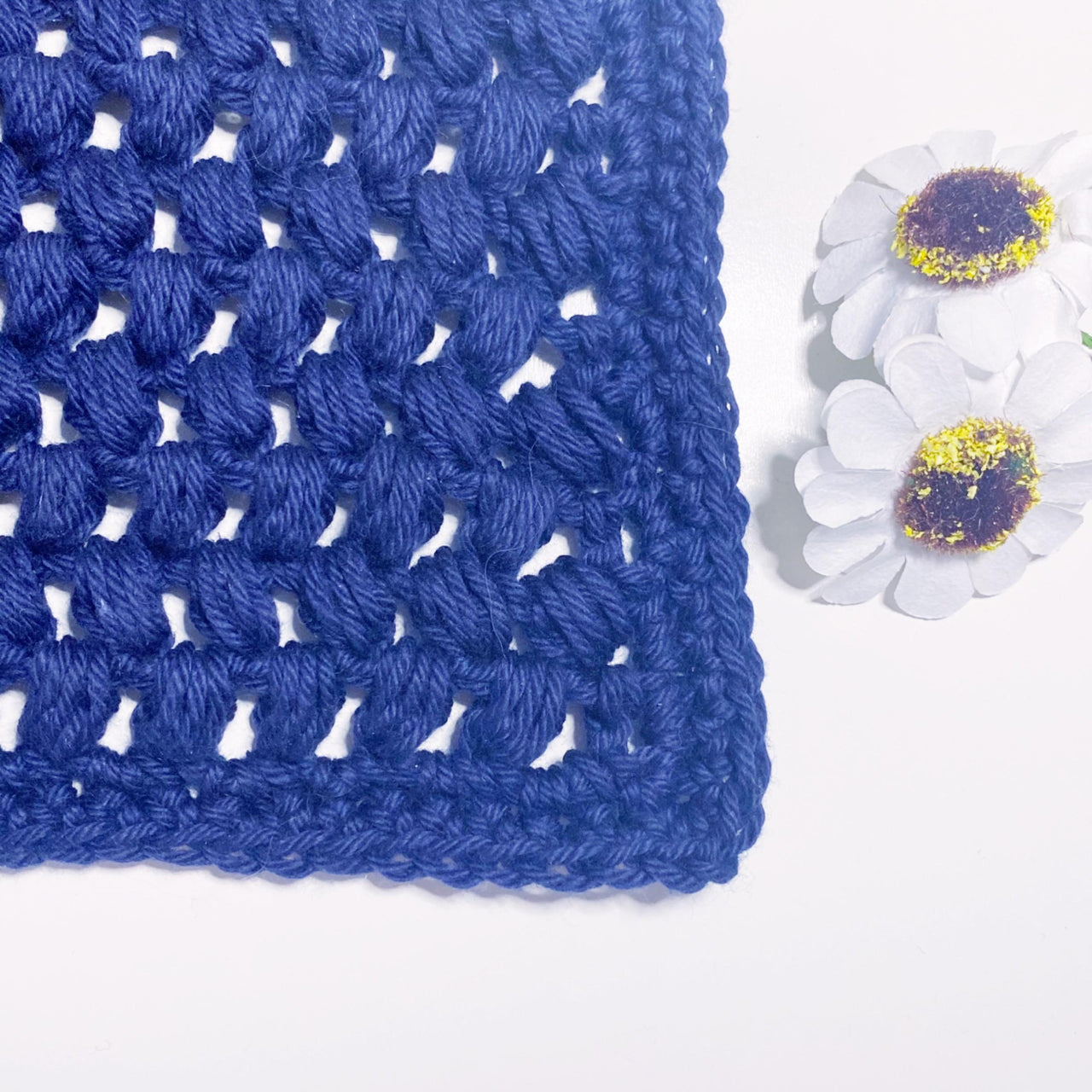 Washcloth 04 Blueberry