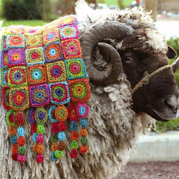 Belladonna Crochet Scarf