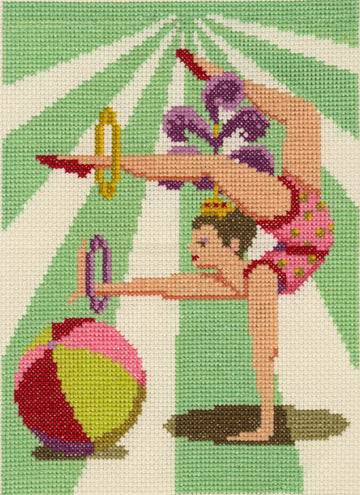 DMC Acrobat Embroidery Kit - 15 x 20cm