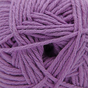 African violet (243)