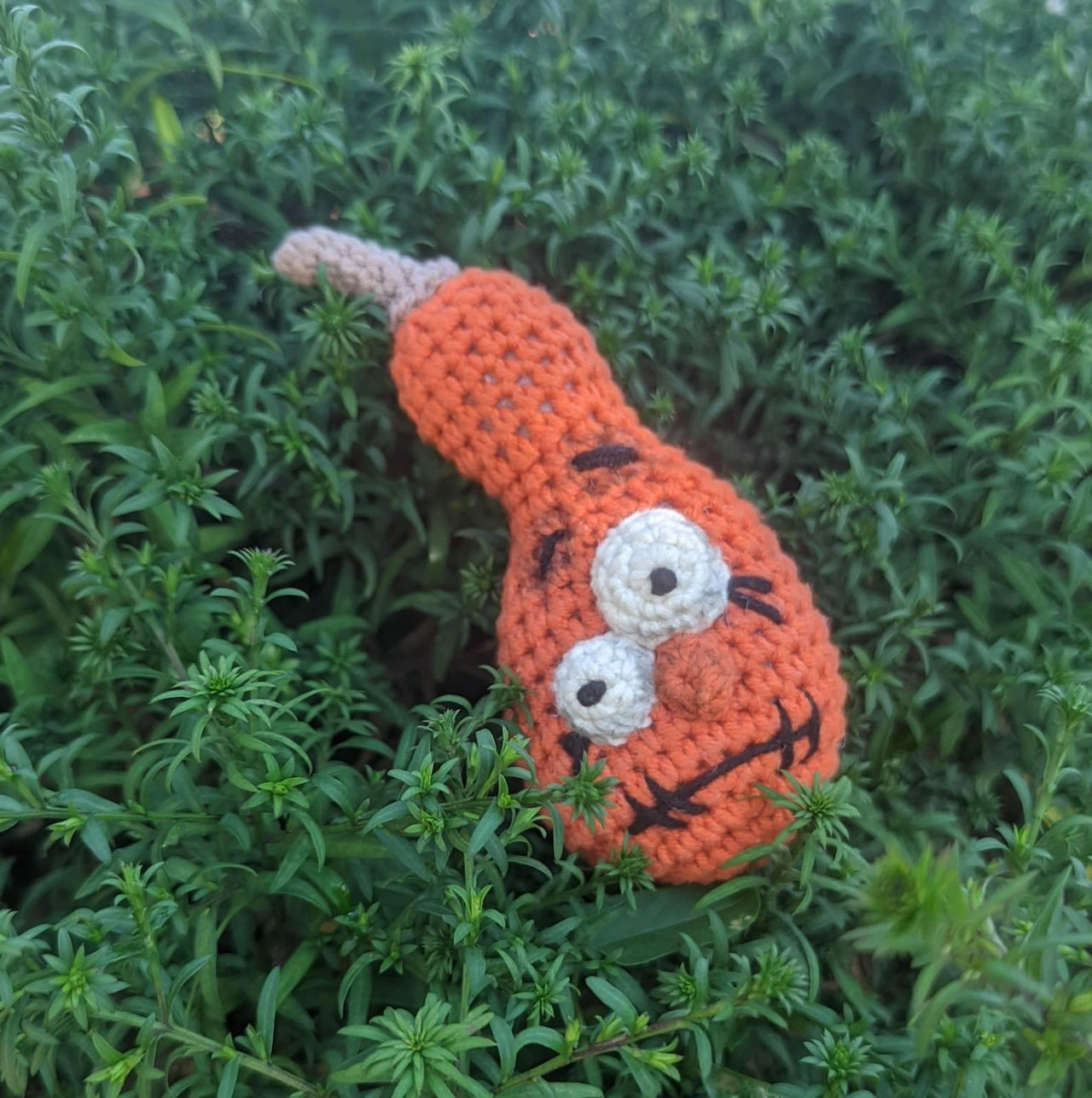 Halloween Pumpkin