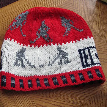 Ice hockey beanie