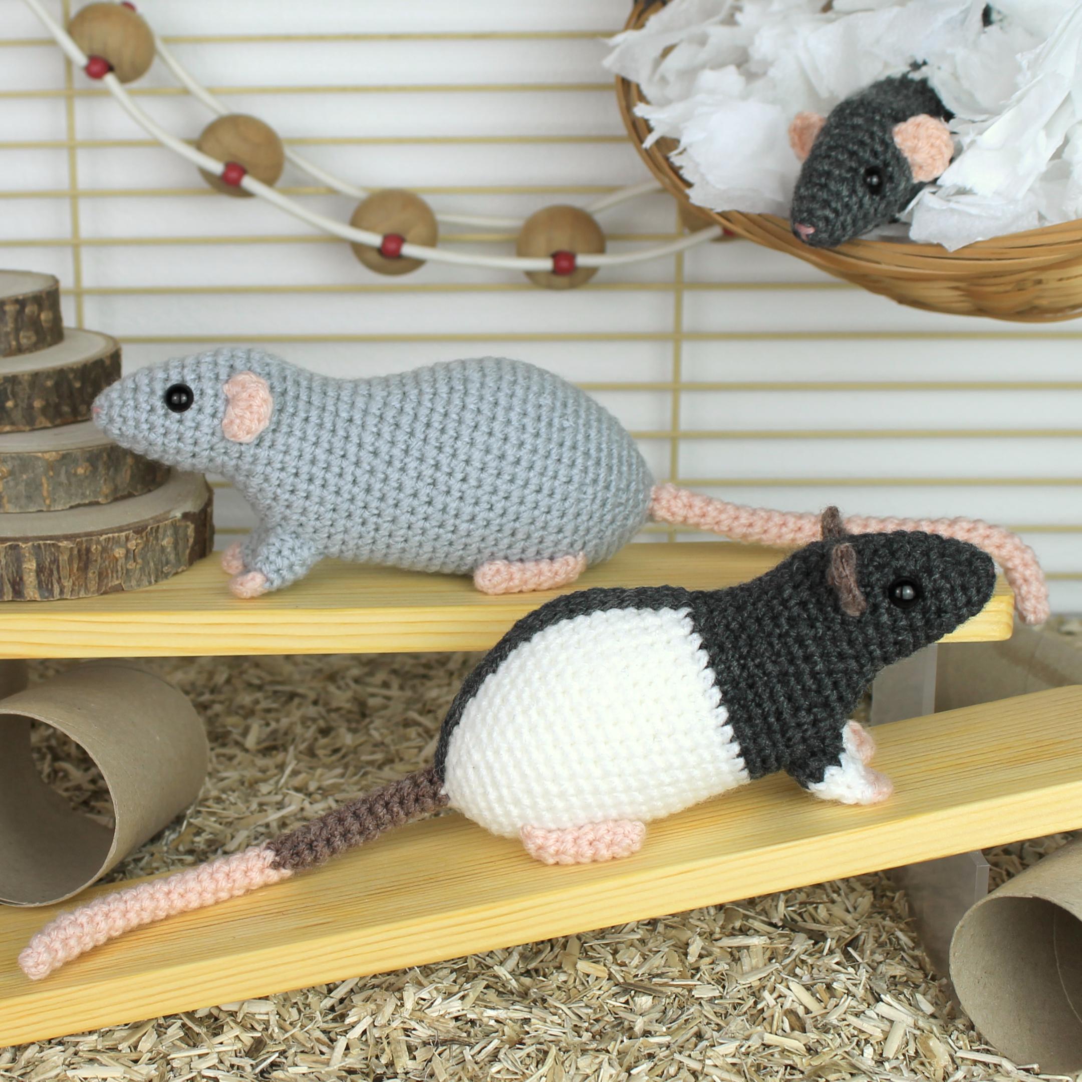 Fancy rats