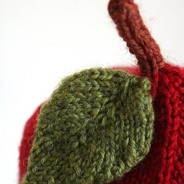 Apple for Teacher