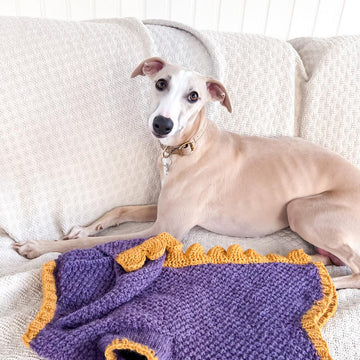 Doggo 16 dragon sweater