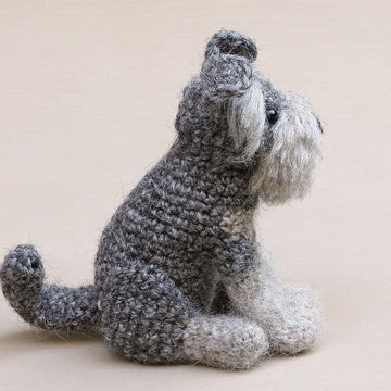 Schnoodge the Schnauzer dog