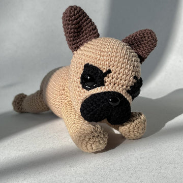 French Bulldog Puppy