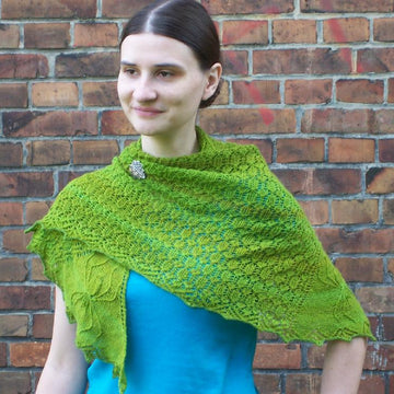 Friendly neighbourhood spider-shawl