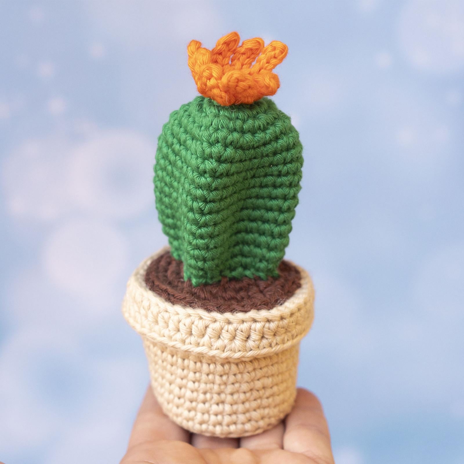 Cactus Bundle