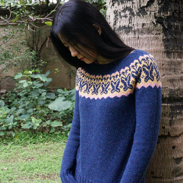 Butterfly Yoke Pullover