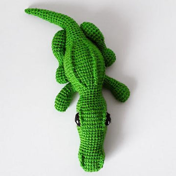 Crocodile - Alligator