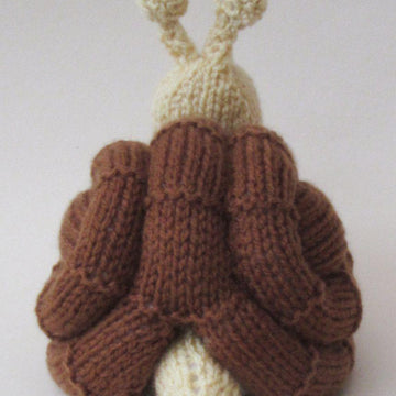 Snail Chocolate Orange Cosy