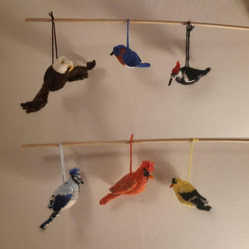 North American Birds