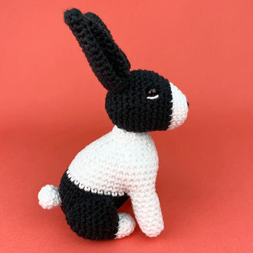 Hazel Bunny