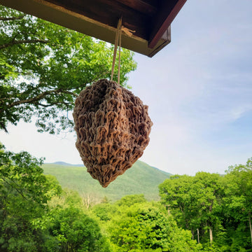 Decoy Wasp Nest For Knitters