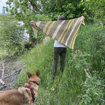 Strandlines Shawl