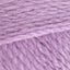 Crocus (2568)