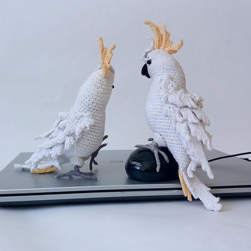 Cockatoo Parrot