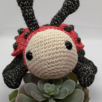 Lottie the Ladybird