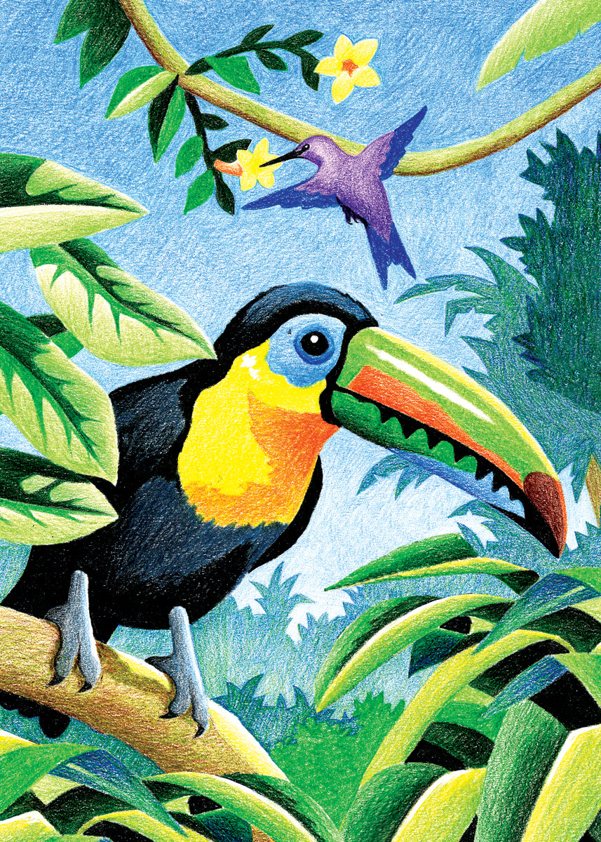 Royal Brush Mini Color Pencil By Number Kit 5"X7" - Tropical Birds