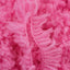 Fuchsia (343)