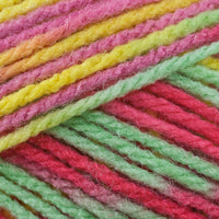 Clown Colour (2344)